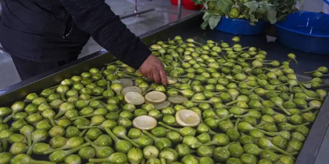 Yıllık hasat 11.000 tonu buluyor: Yağışlar tescilli üründe verimi artırdı 3